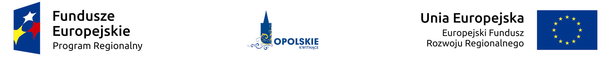 Unia Europejska Logo